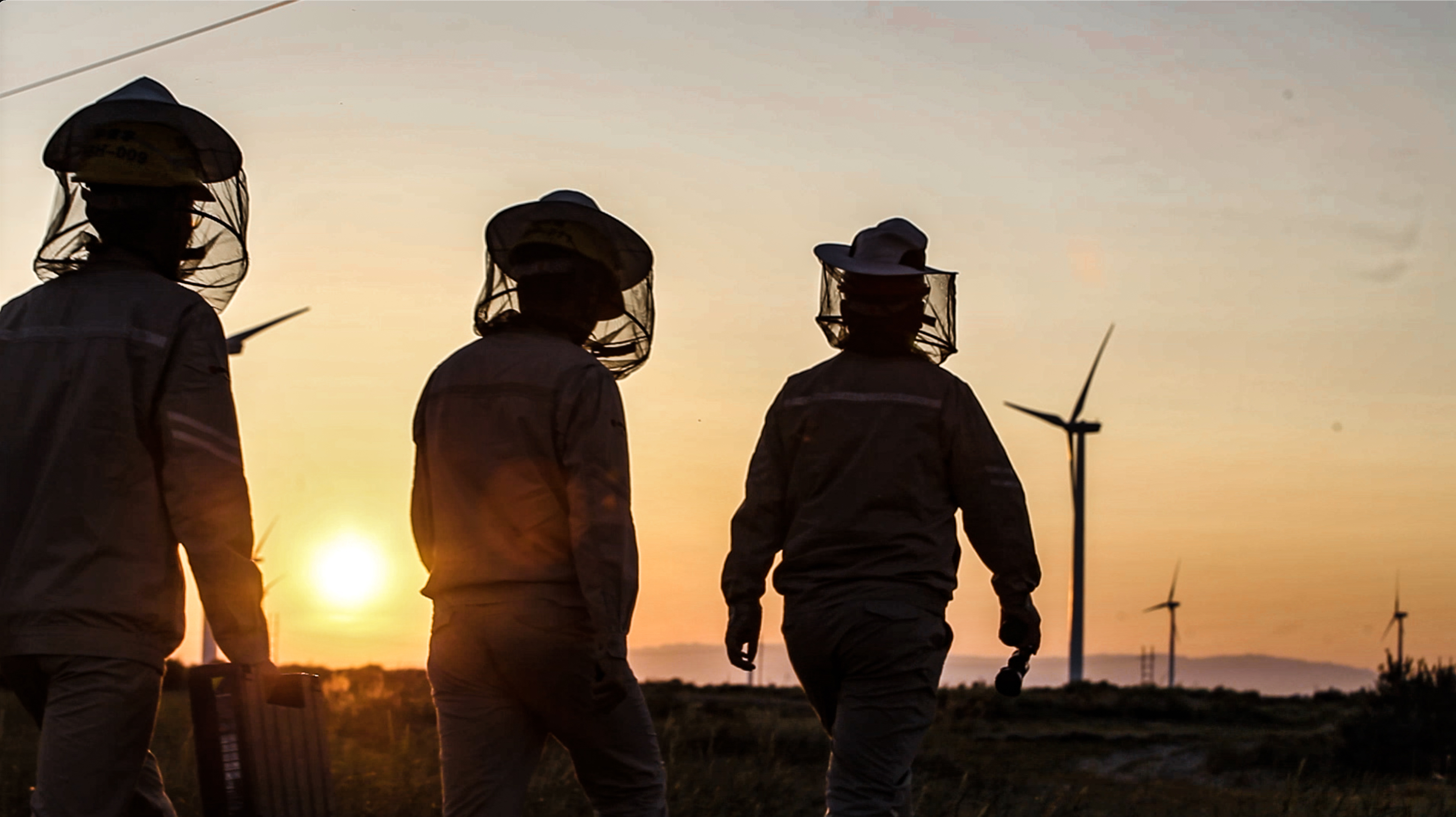 1721702724988075819.jpg 4.jpg